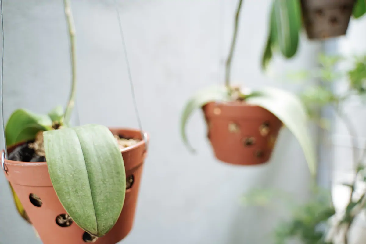 Mini Nest Dakao [1] - Trung tâm thành phố Studio ấm cúng