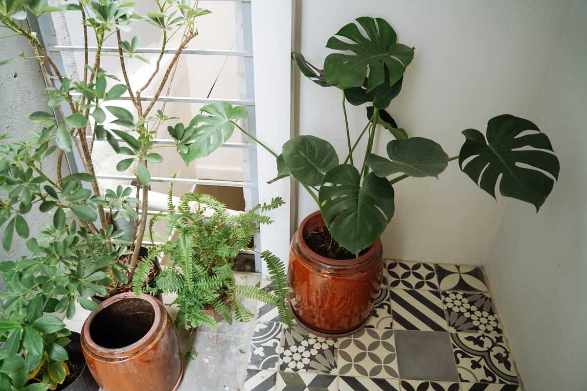 Mini Nest Dakao [1] - Trung tâm thành phố Studio ấm cúng