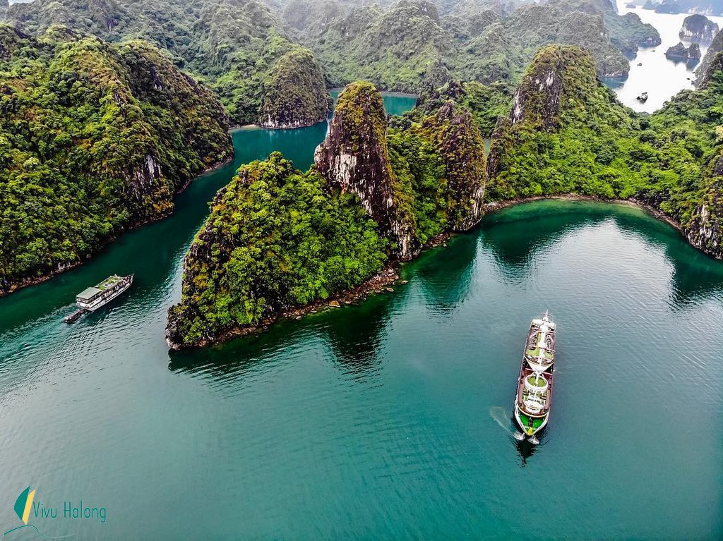 Tham quan vịnh Hạ Long trên du thuyền 