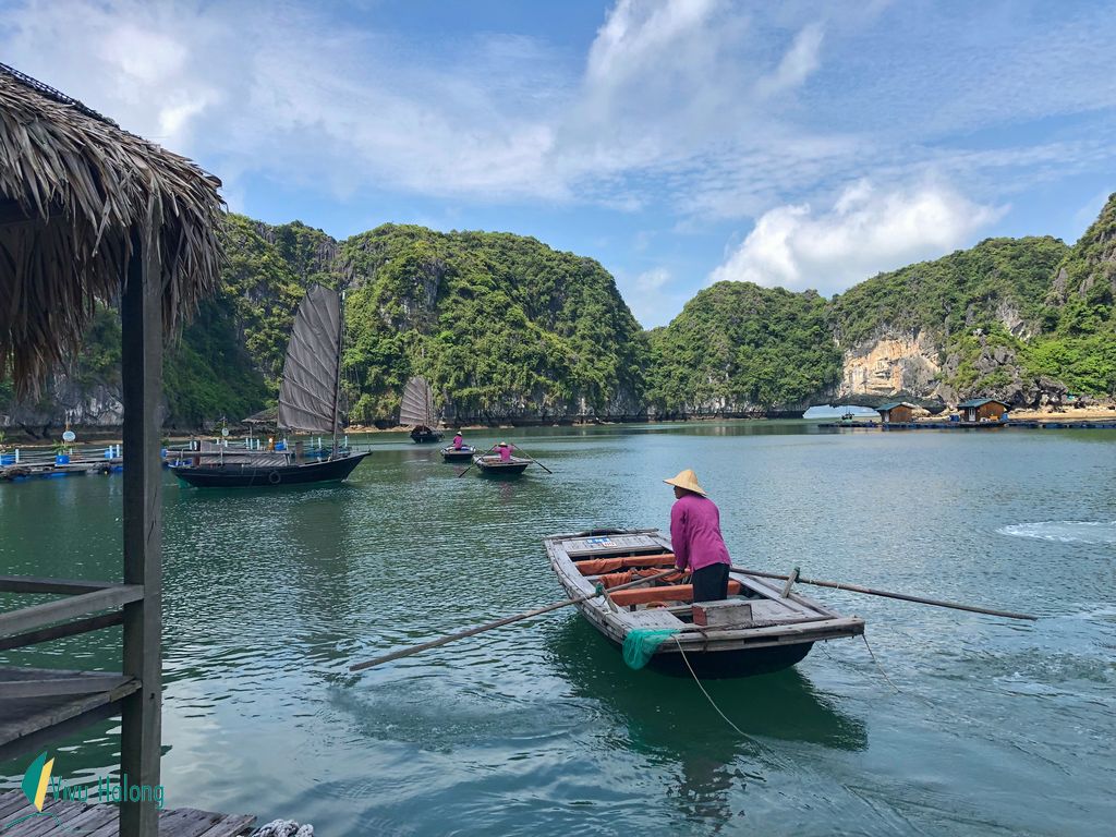 Tham quan làng chài vịnh Hạ Long 