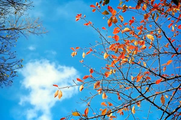 Đi Sài Gòn khi nào đẹp nhất?/Thời điểm nên đi Sài Gòn