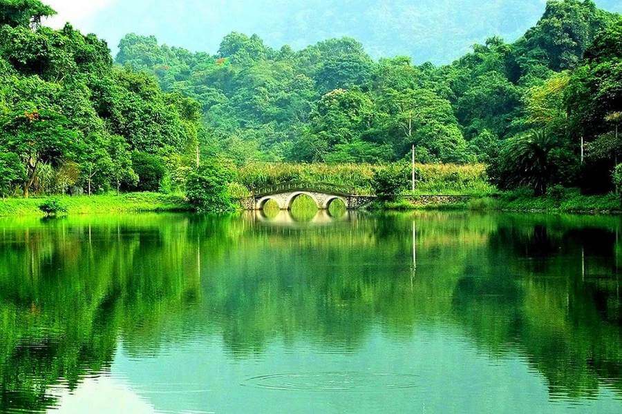 vườn quốc gia cúc phương