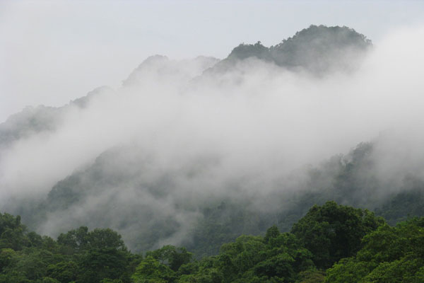 đỉnh mây bạc